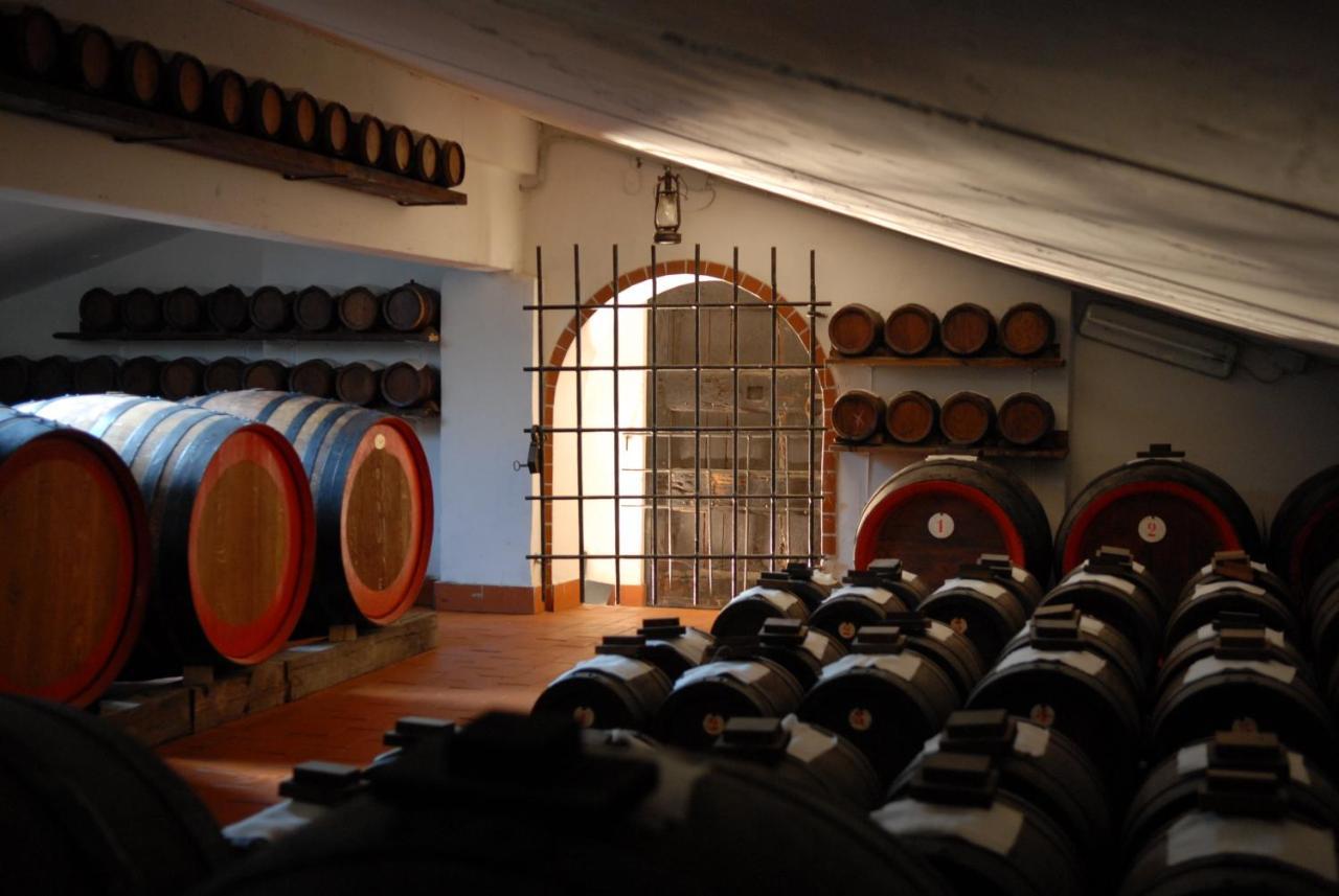 Bed and Breakfast Real Bb Balsamico Bastiglia Exterior foto